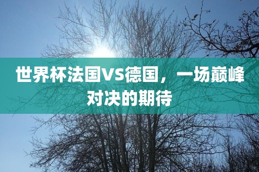 世界杯法国VS德国，一场巅峰对眉山市正发家政服务有限公司决的期待