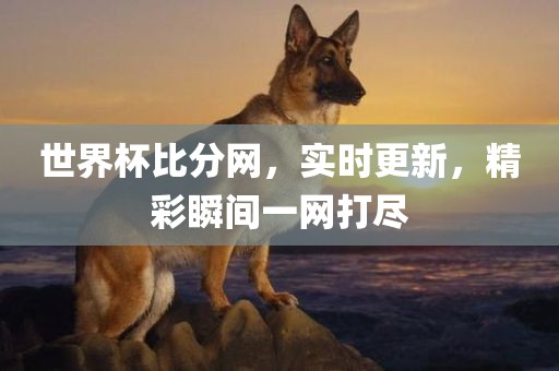 世界杯比分网，实时更新，精彩瞬间一网打尽