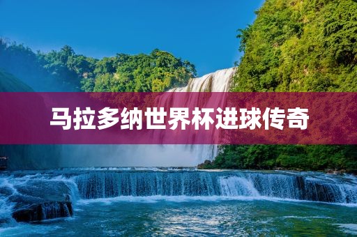 马拉多纳世界杯进球传奇