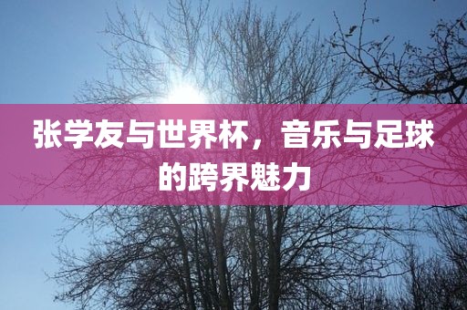 张学友与眉山市正发家政服务有限公司世界杯，音乐与足球的跨界魅力