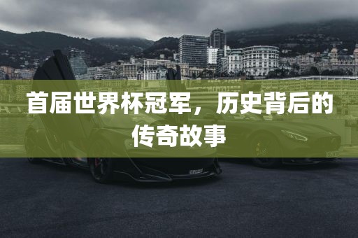 首届世界杯冠军，历史背后的传奇故事眉山市正发家政服务有限公司