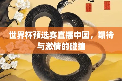 世界杯预选赛直播中国，期待与激情的碰撞