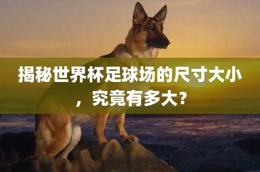 揭秘世界杯足球场的尺寸大小，究竟有多大？