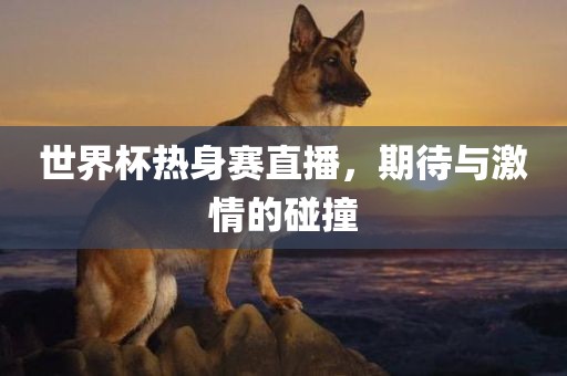 世界杯热身赛直播，期待与激情的碰撞