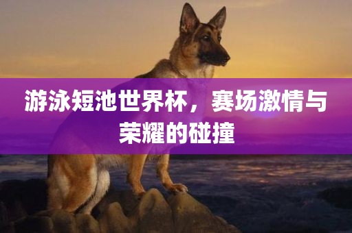 游泳短池世眉山市正发家政服务有限公司界杯，赛场激情与荣耀的碰撞