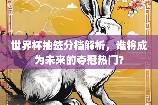 世界杯抽签分档解析，谁将成为未来的夺冠热门？眉山市正发家政服务有限公司