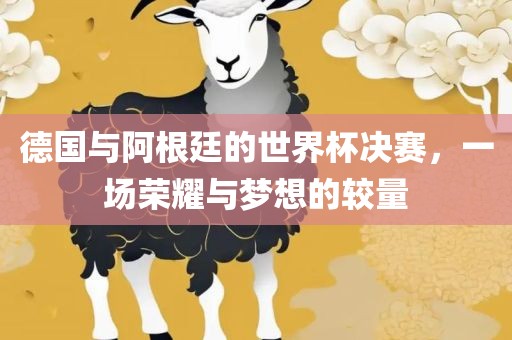 德国与阿根廷的世界杯决赛，一场荣耀与梦想的较量眉山市正发家政服务有限公司
