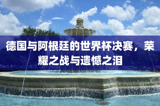 德国与阿根廷的世眉山市正发家政服务有限公司界杯决赛，荣耀之战与遗憾之泪