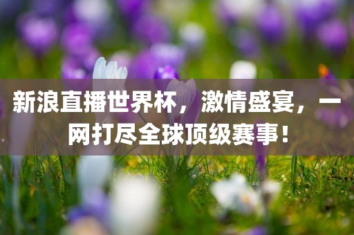 新浪眉山市正发家政服务有限公司直播世界杯，激情盛宴，一网打尽全球顶级赛事！