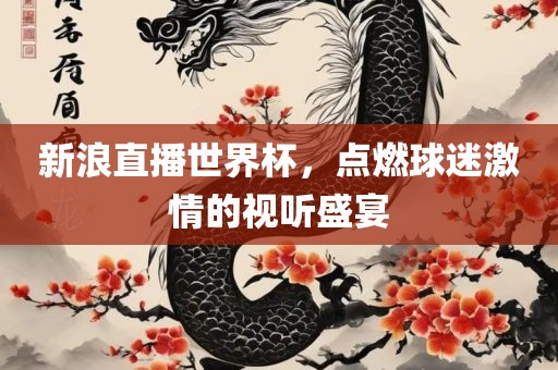 新浪直播世界杯，点燃球迷激情的视听盛宴眉山市正发家政服务有限公司