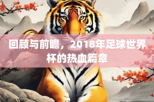 回顾与前瞻，2018年足球世界杯的热血篇章眉山市正发家政服务有限公司