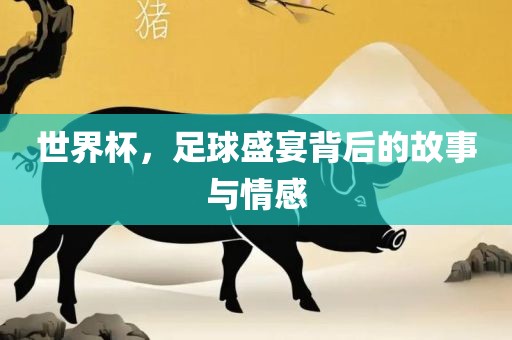 世界杯，足球眉山市正发家政服务有限公司盛宴背后的故事与情感