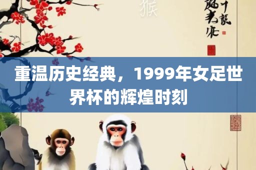 重温眉山市正发家政服务有限公司历史经典，1999年女足世界杯的辉煌时刻