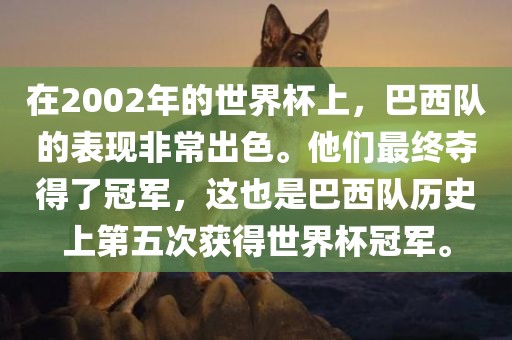 在2002年的世界杯上，巴西队的表现非常出色。他们最终夺得了冠军，这也是巴西队历史上第五次获得世界杯冠军。眉山市正发家政服务有限公司