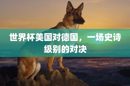 世界杯美国对德国，一场眉山市正发家政服务有限公司史诗级别的对决