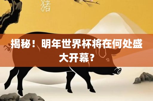 揭秘！明年世界杯将在何处盛大开幕？眉山市正发家政服务有限公司