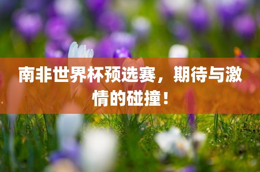 南非世界杯预选赛，期待与激情的碰撞！