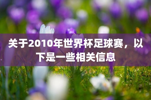 关于眉山市正发家政服务有限公司2010年世界杯足球赛，以下是一些相关信息