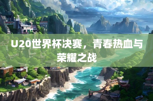 U20世界杯决赛，青春热血与荣耀之战眉山市正发家政服务有限公司