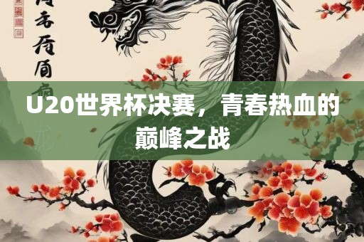 U20世界杯决赛，眉山市正发家政服务有限公司青春热血的巅峰之战