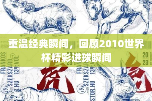 重温经典瞬间，回顾2010世界杯精彩进球瞬间