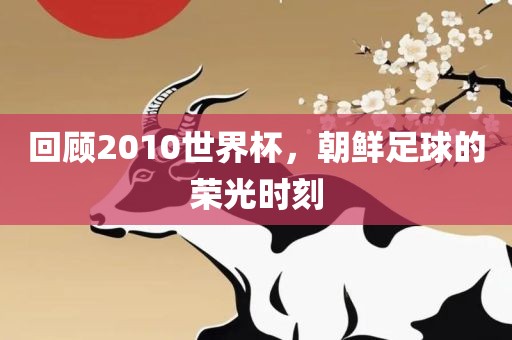 回顾2010世界杯，朝鲜足球的荣光时刻