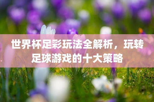 世界杯足彩玩法全解析，玩转足球游戏的十大策略