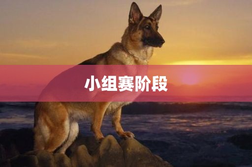 小组赛阶段