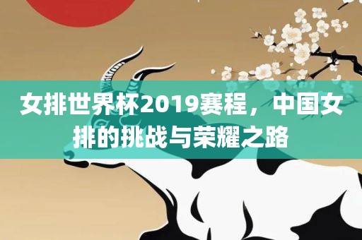 女排世界杯2019赛程，中国女排的挑战与荣耀之路