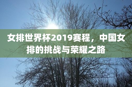 女排世界杯2019赛程，中国女排的挑战与荣耀之路眉山市正发家政服务有限公司