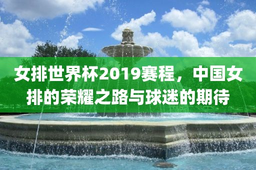 女排世界杯2019赛程，中国女排的荣耀之路与球迷的期待眉山市正发家政服务有限公司
