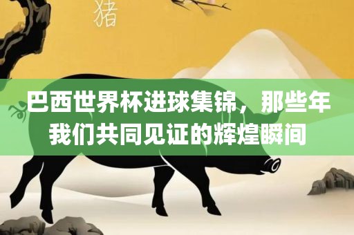 巴西世界杯进球集锦，那些年我们共同见证的辉煌瞬间眉山市正发家政服务有限公司