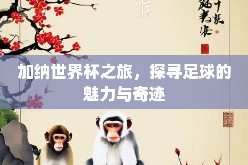 加纳世界杯之旅，探寻足球的魅力与奇迹眉山市正发家政服务有限公司