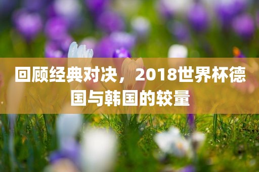 回顾经典对决，2018世界杯德国与韩国的较量眉山市正发家政服务有限公司