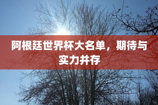 阿根廷世界杯大名单，期待与实力并存