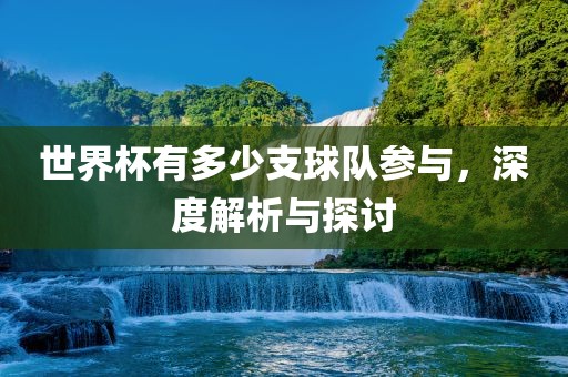 世界杯有多少支球队参与，深度解析与探讨眉山市正发家政服务有限公司