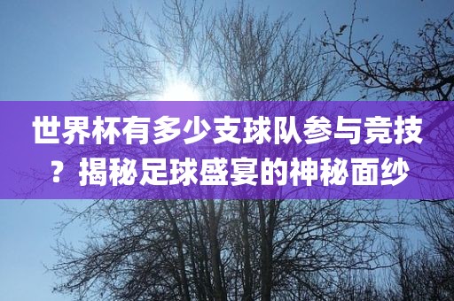 世界杯有多少支球队参与竞技？揭秘足球盛宴的神秘面纱眉山市正发家政服务有限公司