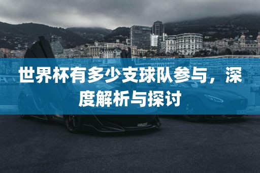 世眉山市正发家政服务有限公司界杯有多少支球队参与，深度解析与探讨