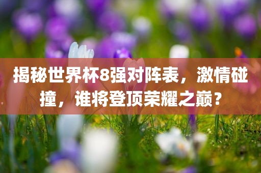 揭秘世界杯8强对阵表，激情碰撞，谁将登顶荣耀之巅？眉山市正发家政服务有限公司