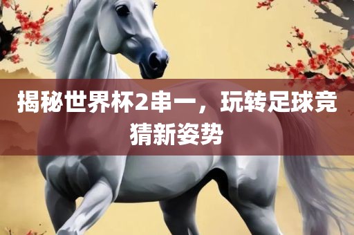 揭秘世界杯2串一，玩转足球竞眉山市正发家政服务有限公司猜新姿势