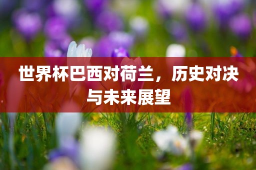 世界杯巴西对荷兰，历史对决与未来展望眉山市正发家政服务有限公司
