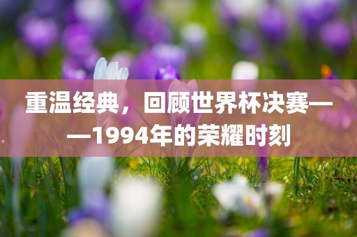 重温经典，回顾世界杯决赛——1994年的荣耀时刻眉山市正发家政服务有限公司