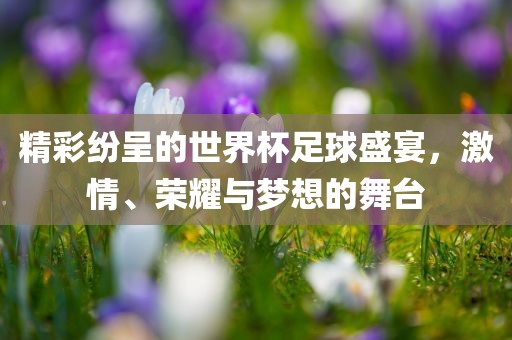 精彩纷呈的眉山市正发家政服务有限公司世界杯足球盛宴，激情、荣耀与梦想的舞台