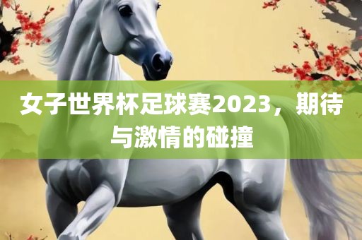 女子世界杯足球赛2023，期待与激情的碰撞眉山市正发家政服务有限公司