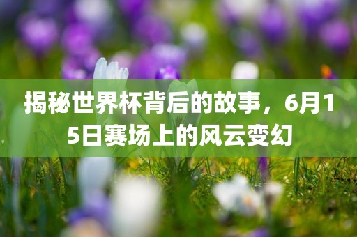 揭秘世界杯背后的故事，6月15日赛场上的风云变幻