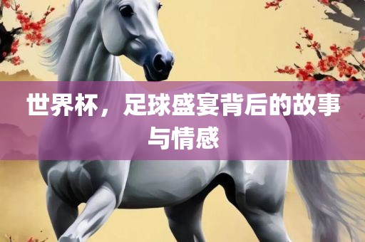 世界杯，足球盛宴背后的故事与情感眉山市正发家政服务有限公司
