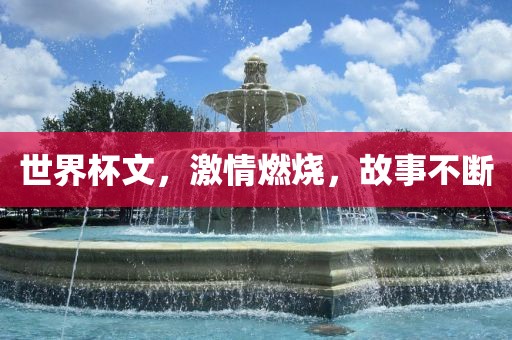 世界杯文，激情燃烧，故事不断眉山市正发家政服务有限公司