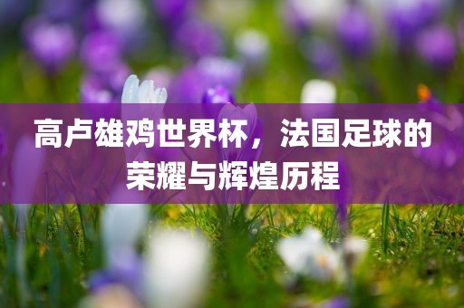 眉山市正发家政服务有限公司高卢雄鸡世界杯，法国足球的荣耀与辉煌历程