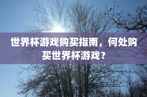 世界杯游戏购买指南，何处购买世界杯游戏？眉山市正发家政服务有限公司