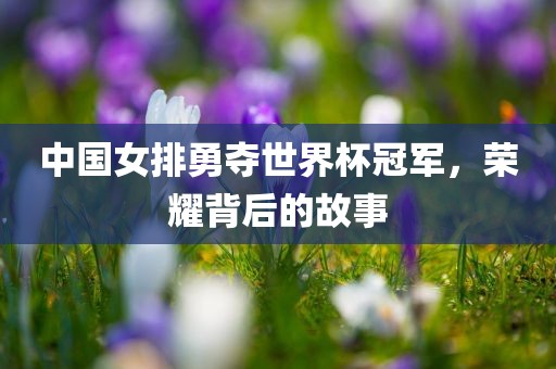 中国女排勇夺世界杯冠军，荣耀背后的故事眉山市正发家政服务有限公司